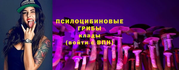 эйфоретик Белоозёрский