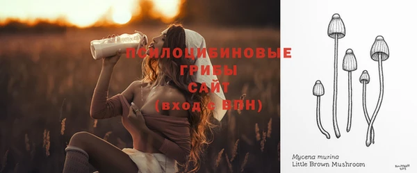 прущие крисы Богданович