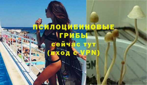 a pvp Богородск