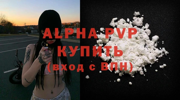 PSILOCYBIN Беломорск