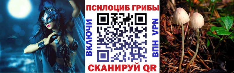Псилоцибиновые грибы GOLDEN TEACHER  купить наркотик  Благодарный 